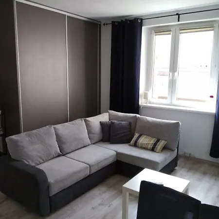 Zacisze Starowki Apartment Torun Exterior photo