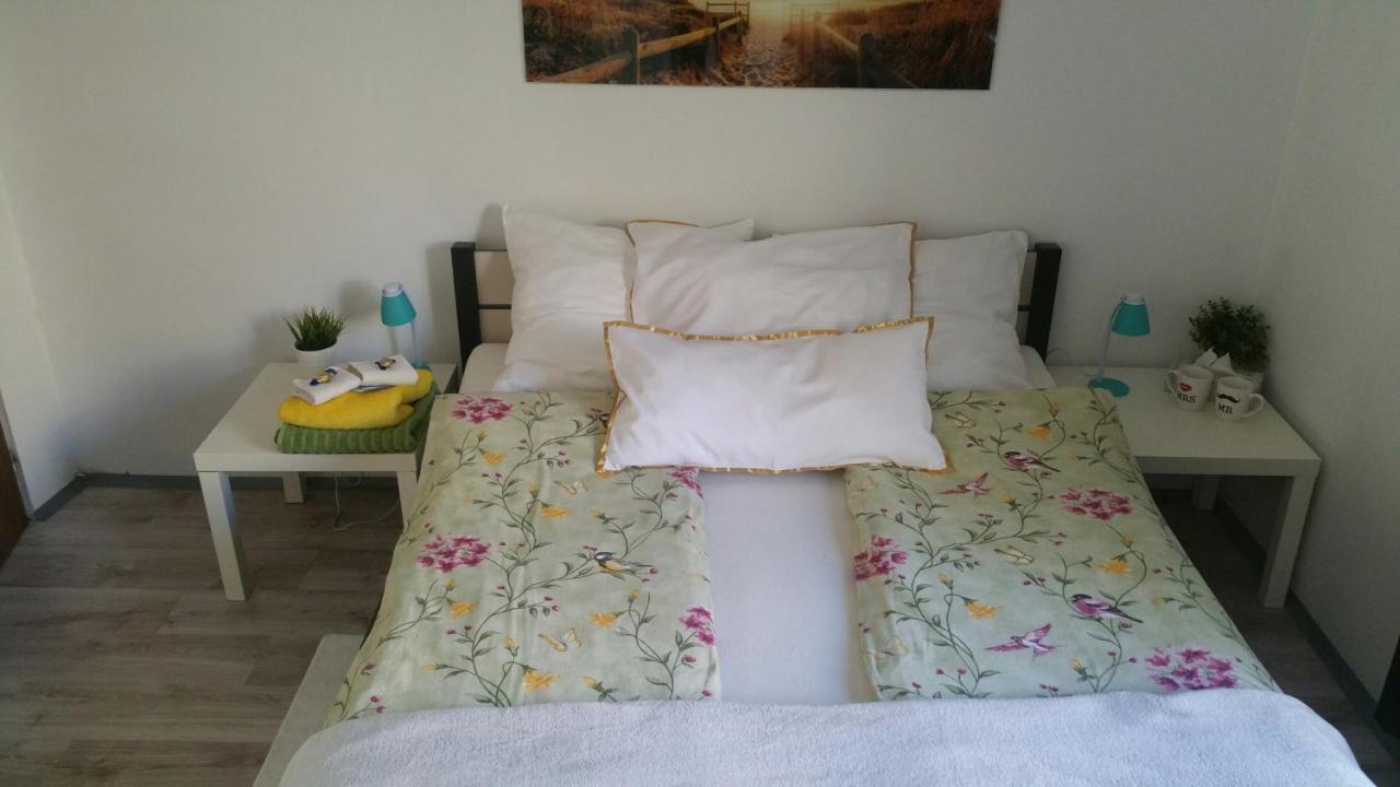 Zacisze Starowki Apartment Torun